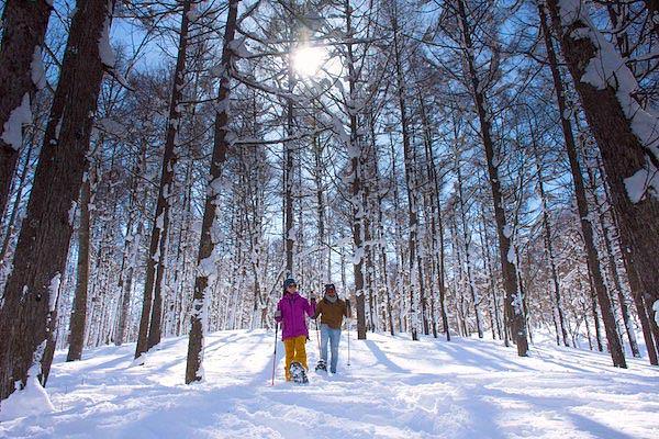 Snowshoe touring in Madarao